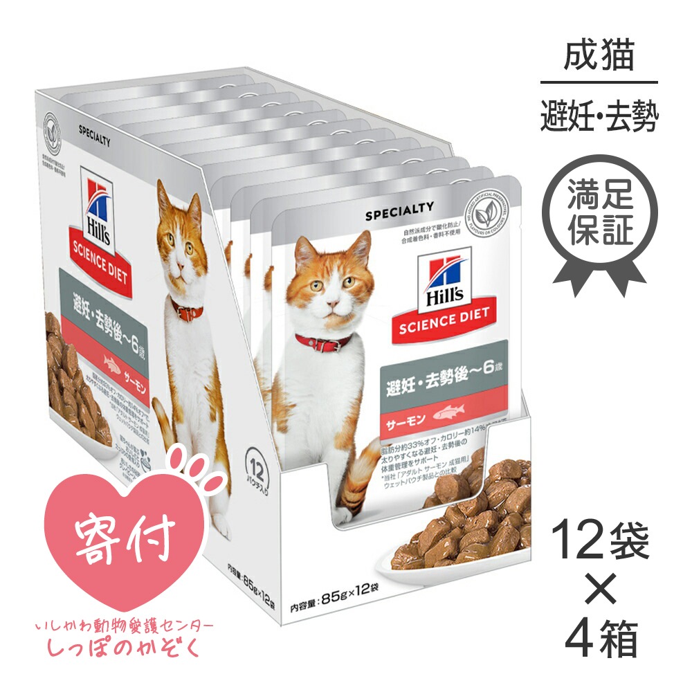 85g48ޡۥҥ륺 󥹡å å ǥ~6 ǥǭ  ѥ (ǭå)