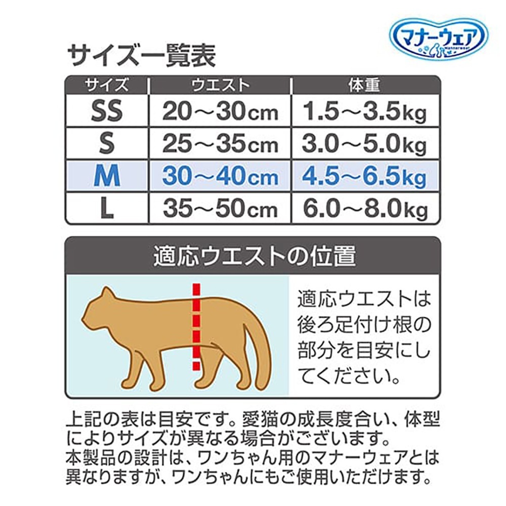 ��4���2�ޡۥ�ˡ����㡼�� �ޥʡ������� �ͤ��� M������ ����ѥå� ����� (ǭ������å�)