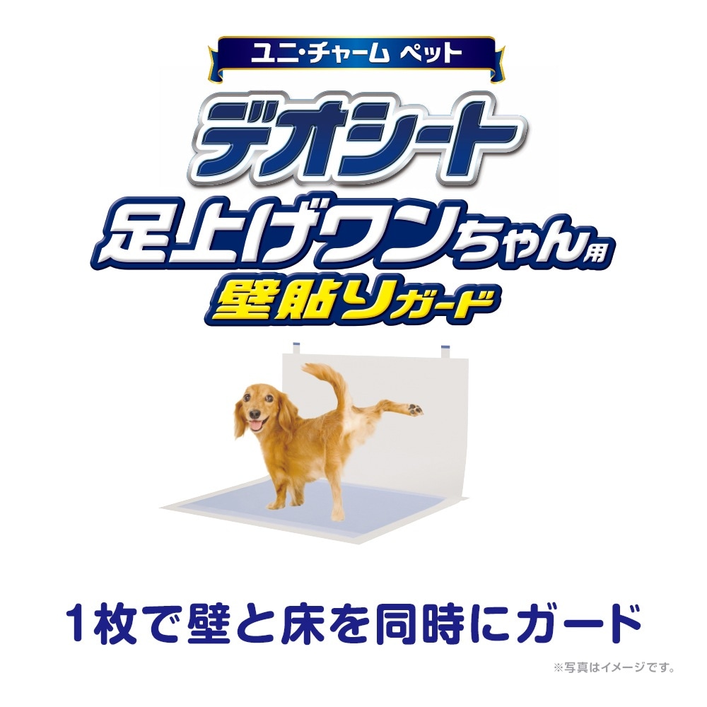 ��30���6�ޡۥ�ˡ����㡼�� �ǥ������� ­�夲��������� ��Ž�ꥬ���� �磻�� �ڥåȥ����� (�����ɥå�)