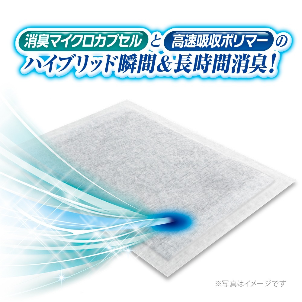 ��54���6�ޡۥ�ˡ����㡼�� �ǥ������� PREMIUM 12����Ķ�ý���Ķ�ۼ� �쥮��顼 �ڥåȥ����� (�����ɥå�)