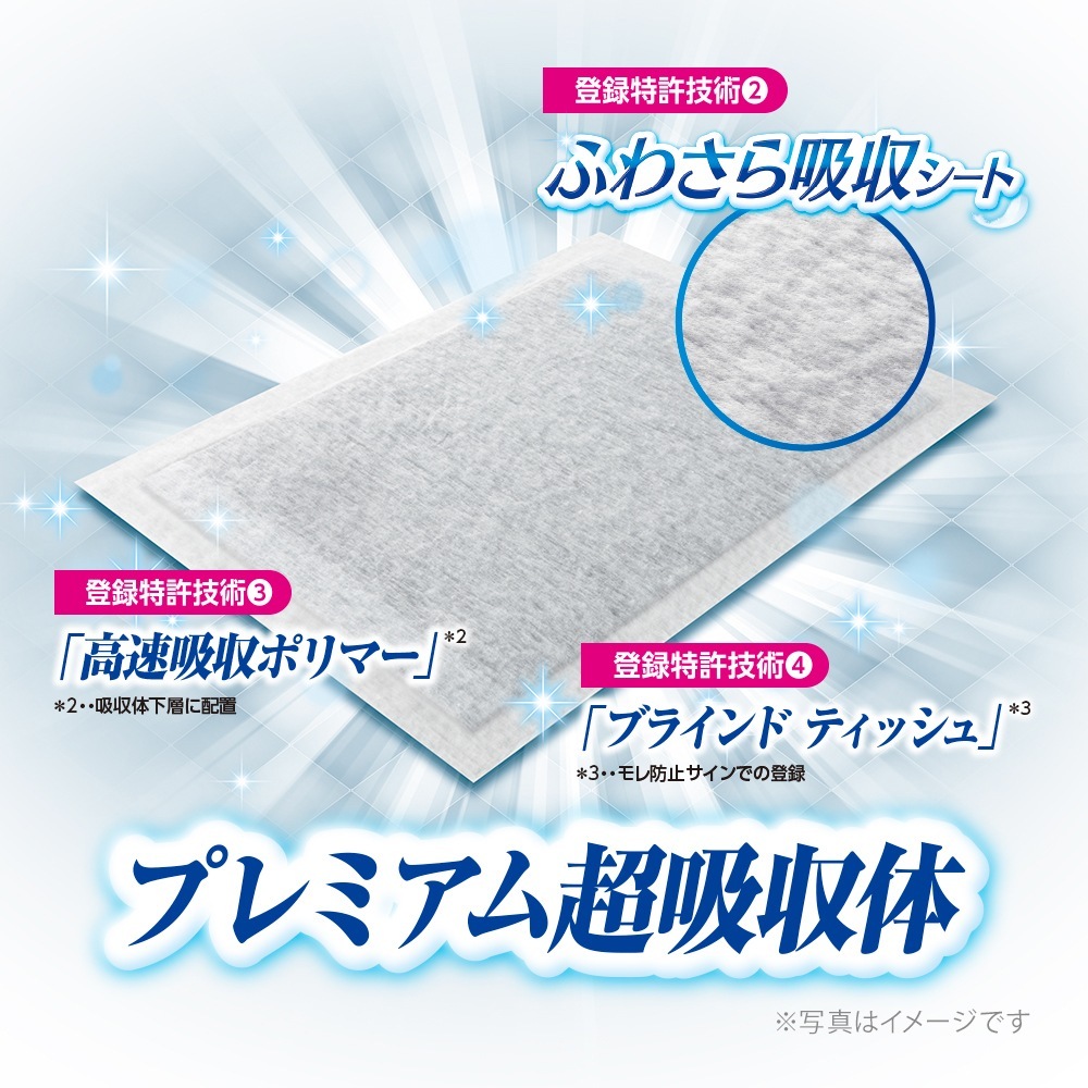 ��54���6�ޡۥ�ˡ����㡼�� �ǥ������� PREMIUM 12����Ķ�ý���Ķ�ۼ� �쥮��顼 �ڥåȥ����� (�����ɥå�)