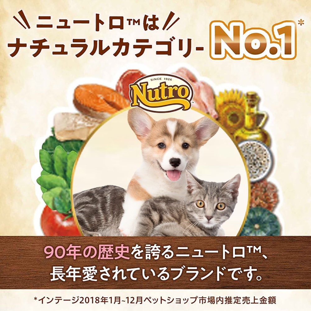 ワイルドレシピ 子犬用ターキー4kg×2(最終値下げ) ニュートロ ワイルド レシピ 超小型犬～小型犬用 子犬用