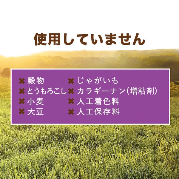 ��99g��12�ġۥ��󥹥ƥ��󥯥� �ߥ�����å� ��ӥåȥ쥷�� �����å� ���å� ��ǯ��ǭ�� (ǭ������å�)[������]