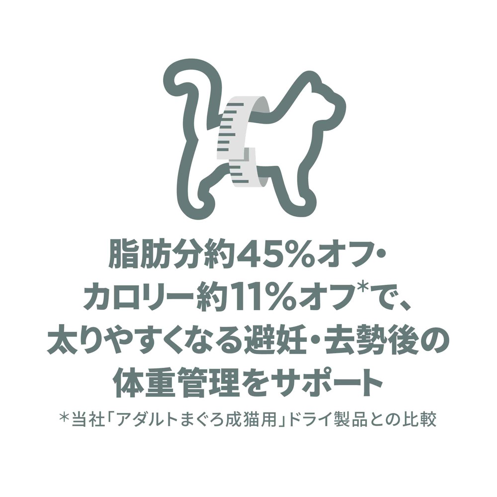 ҥ륺 󥹡å ǥ~6 ǥǭ  2.5kg (ǭå)