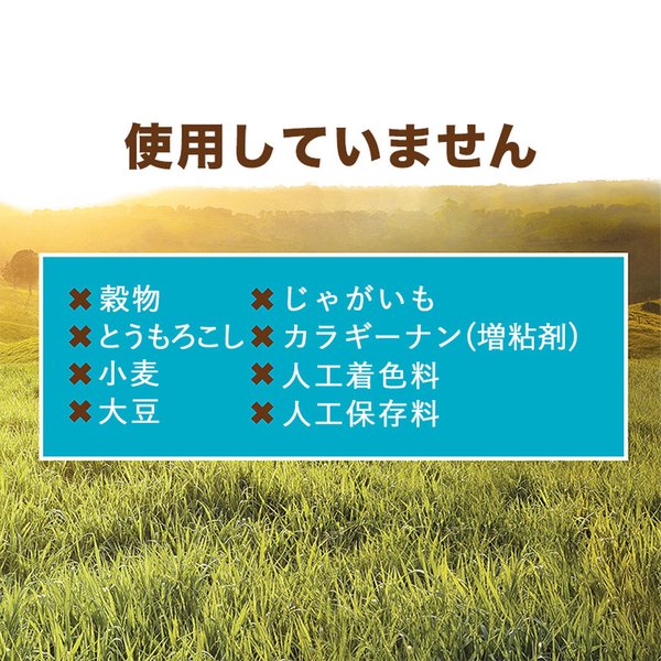 �ڥ᡼���ءۡ�99g��6�ġۥ��󥹥ƥ��󥯥� �ߥ�����å� �ĥʥ쥷�� �����å� ���å� ��ǯ��ǭ�� (ǭ������å�)[������]