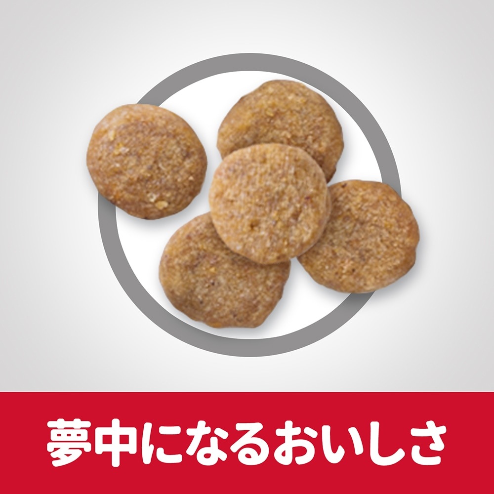 1.4kg3ޡۥҥ륺 󥹡å ˥ ץ饹 11аʾ ǭ  (ǭå)