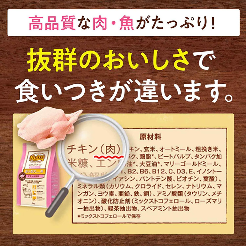 �˥塼�ȥ� �ʥ�������祤�� �ץ��ƥ��󥷥꡼�� �淿�����緿�� ������ �������� 4kg(�����ɥå�)[������]