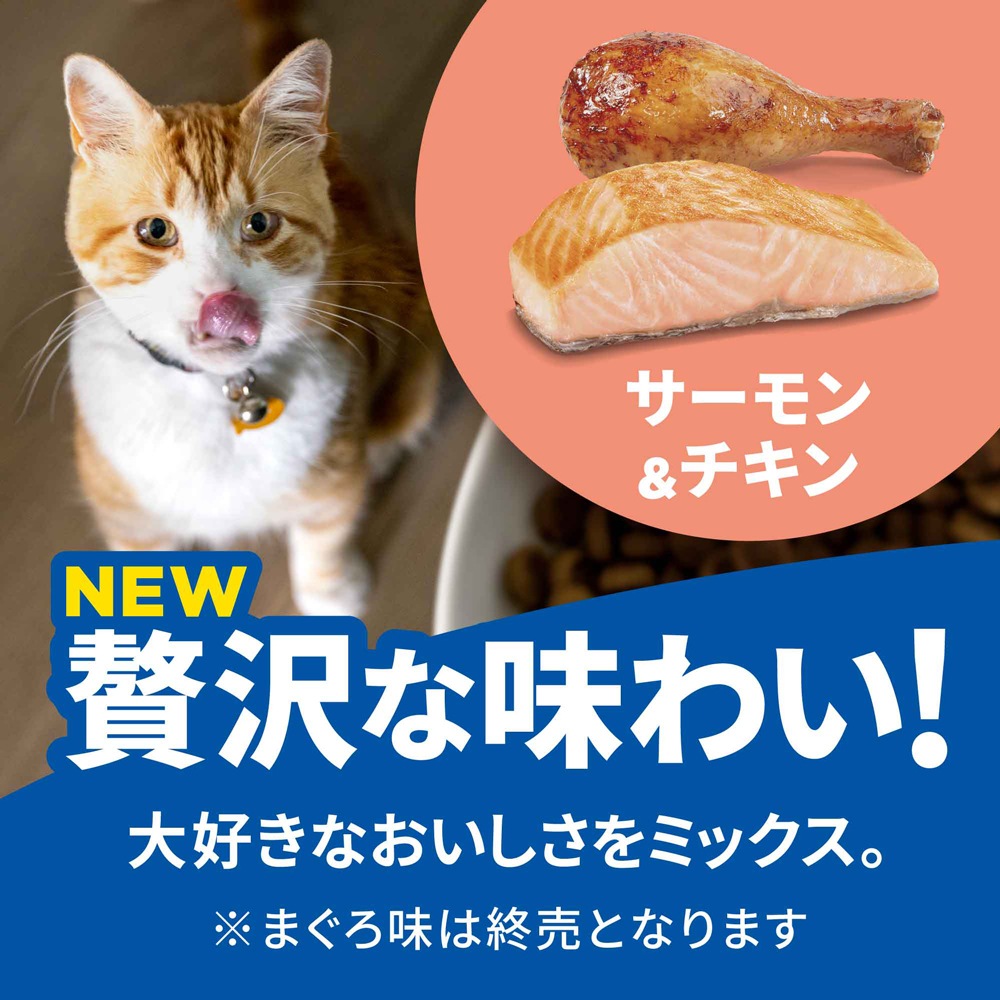 ��2.5kg��4�ޡۥҥ륺 �������󥹡��������å� ��ǥ��������~6�� ��ǥ������ǭ�� �������������� (ǭ������å�)