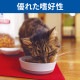 ��2.5kg��4�ޡۥҥ륺 �������󥹡��������å� ��ǥ��������~6�� ��ǥ������ǭ�� �������������� (ǭ������å�)