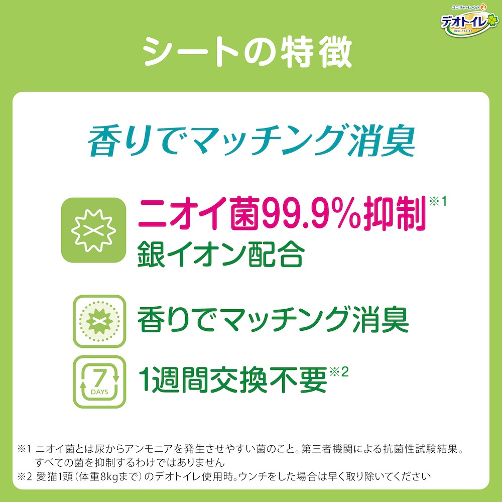 ��10���2�ޡۥ�ˡ����㡼�� �ǥ��ȥ��� �դ����� �ý������ݥ����� �ʥ����륬���ǥ�ι�� �����ƥ�ȥ����� (ǭ������å�)