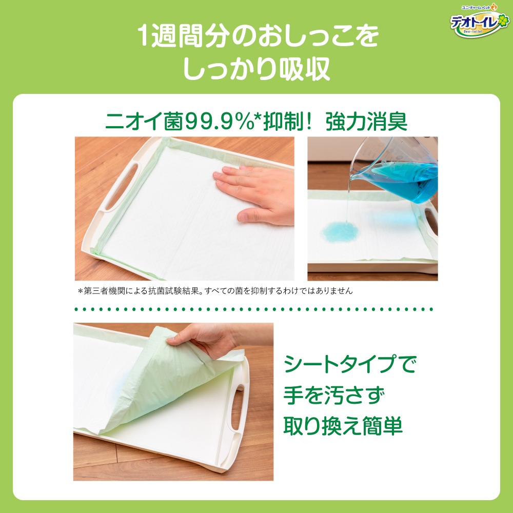 ��10���2�ޡۥ�ˡ����㡼�� �ǥ��ȥ��� �դ����� �ý������ݥ����� �ʥ����륬���ǥ�ι�� �����ƥ�ȥ����� (ǭ������å�)