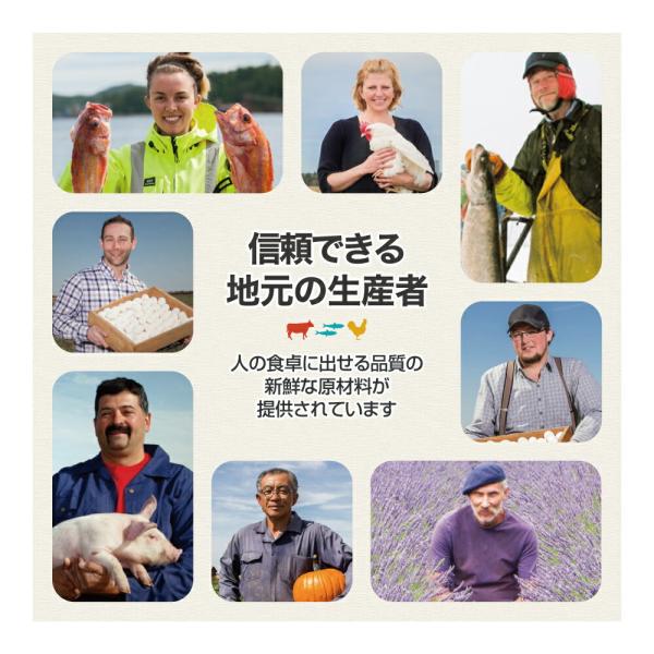 ��1.8kg��2�ޡۥ����� �ϥ������ȥץ��ƥ��� ����ɥ�����å� (ǭ������å�)[������]