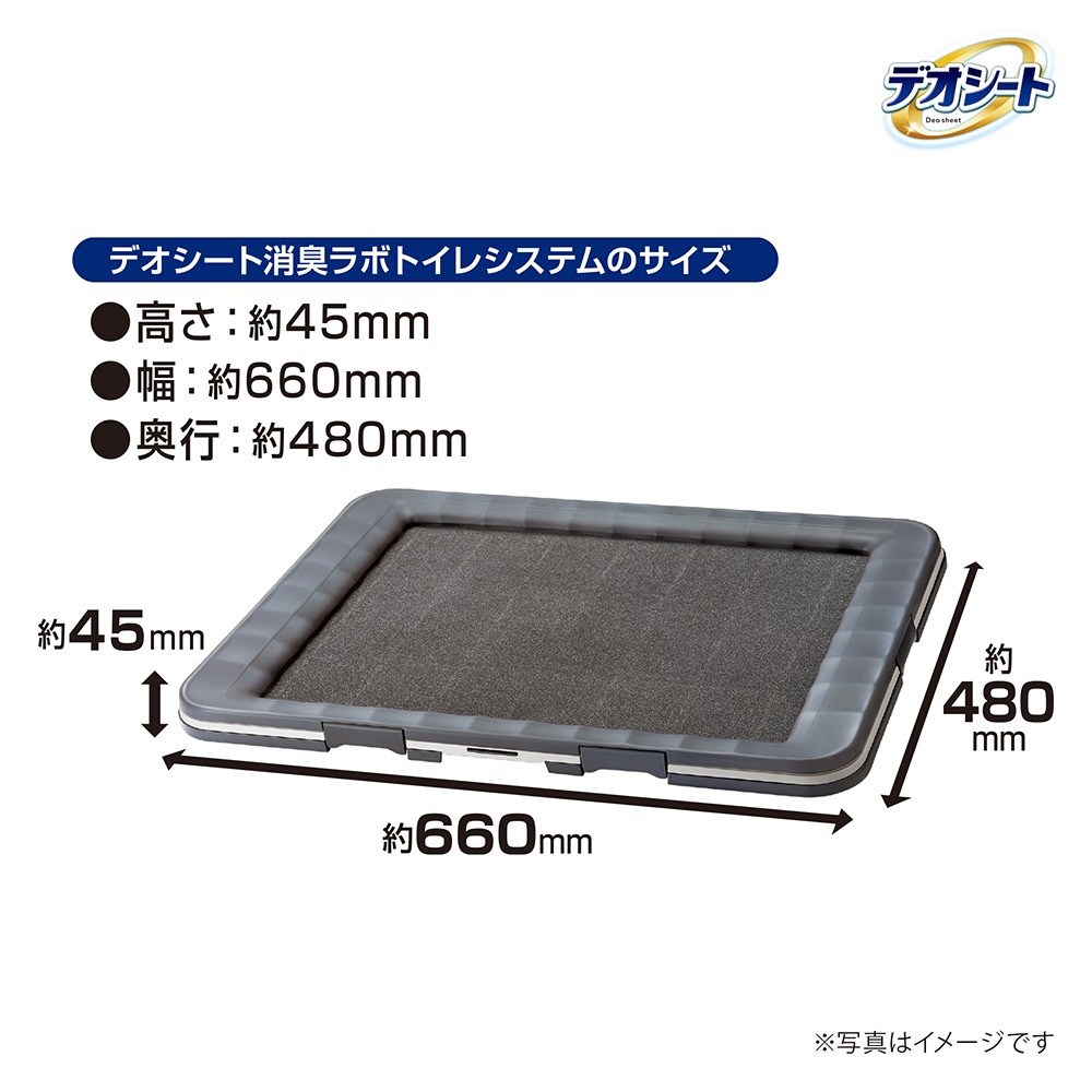 ��ˡ����㡼�� �ǥ������� �ý���� �ȥ��쥷���ƥ� ���Υ��å� �磻�� (�����ɥå�)