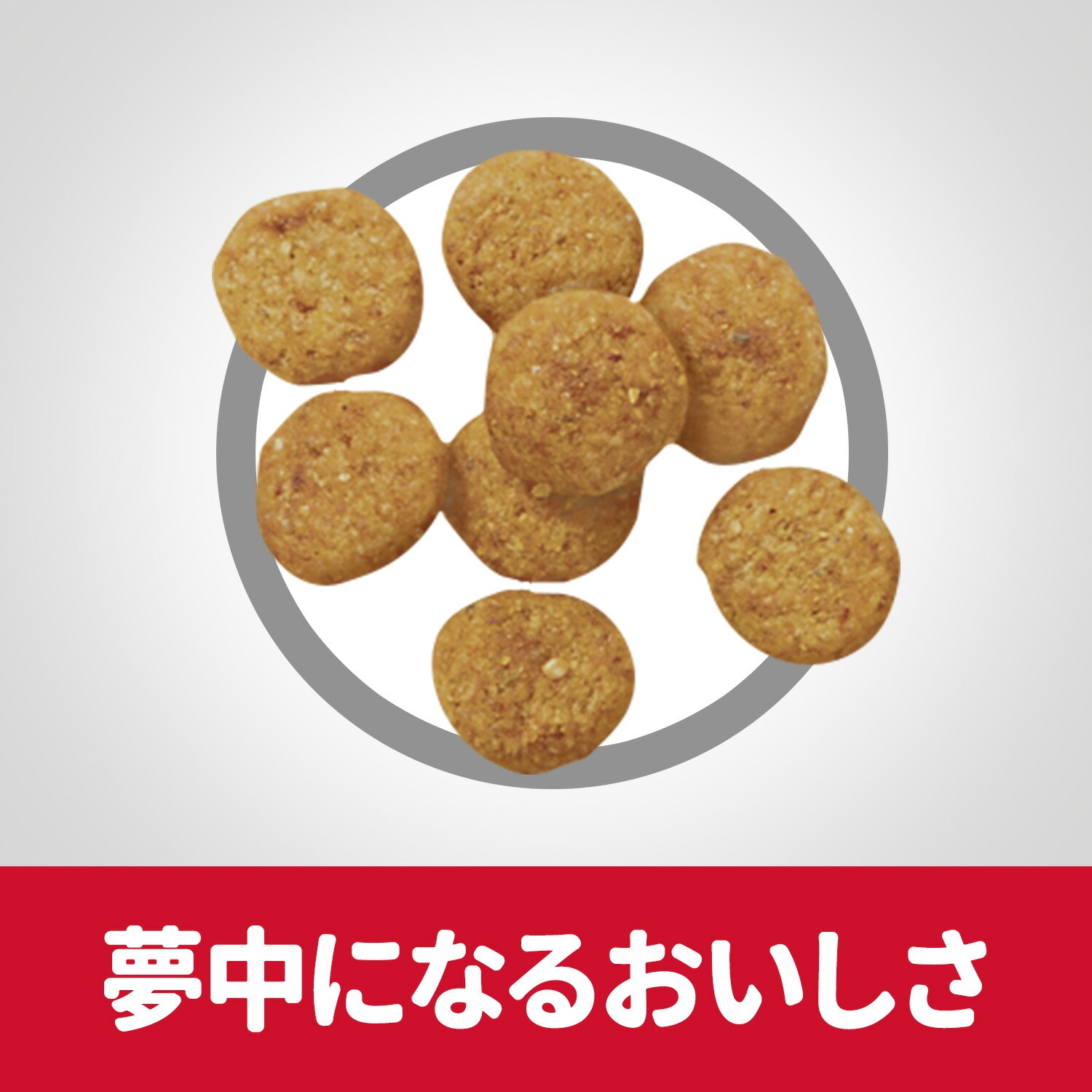 ��2.5kg��4�ޡۥҥ륺 �������󥹡��������å� ���̥��ݡ��� �������� 1�аʾ��������������/��ǥ������ˤ� ������ �����Хå����ޤ��� (�����ɥå�)