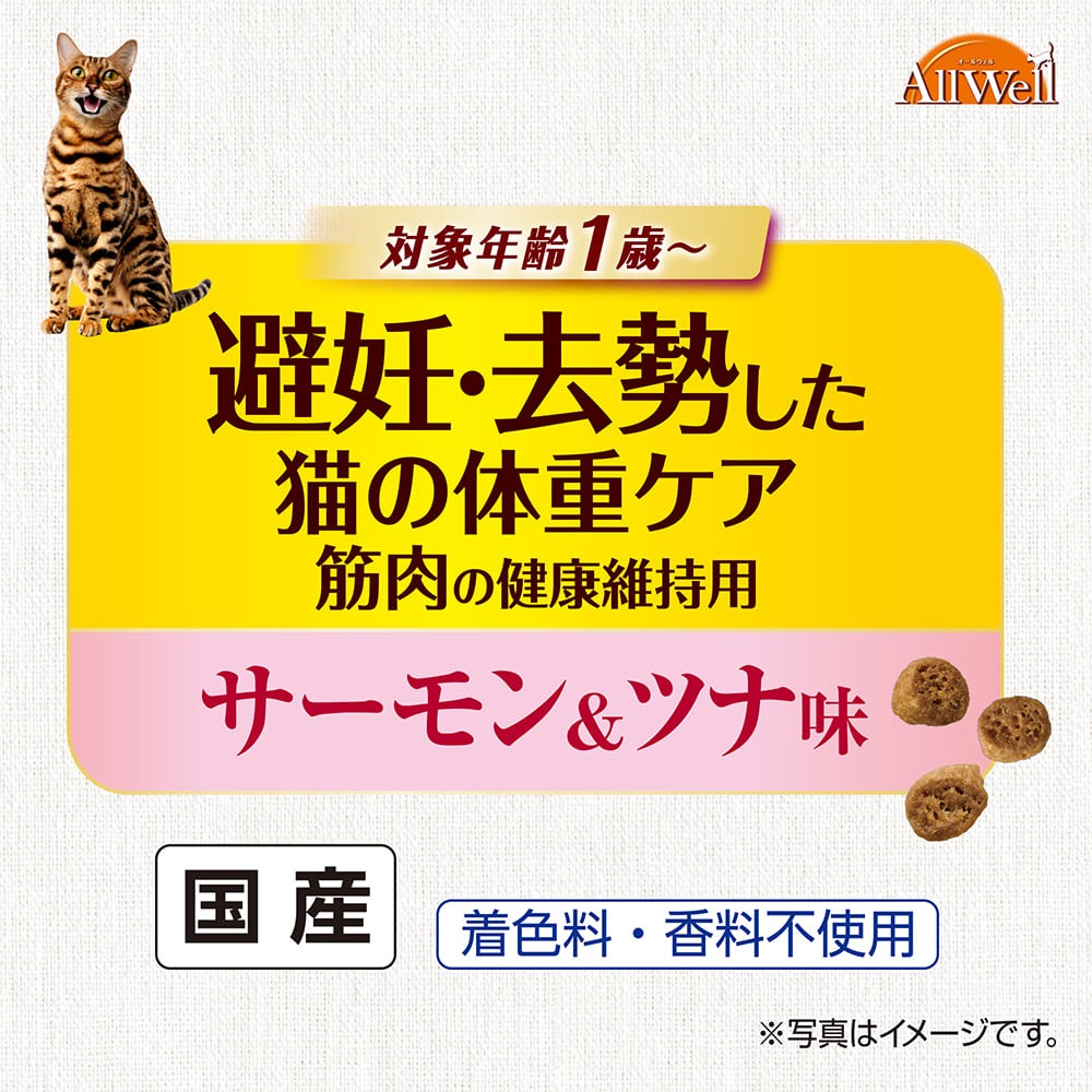 ��ˡ����㡼�� AllWell 10��μ����Ǻ� ��ǥ��������ǭ���νť��� �����η򹯰ݻ��� ���������ĥ�̣ 1.2kg (300g��4��) (ǭ������å�)