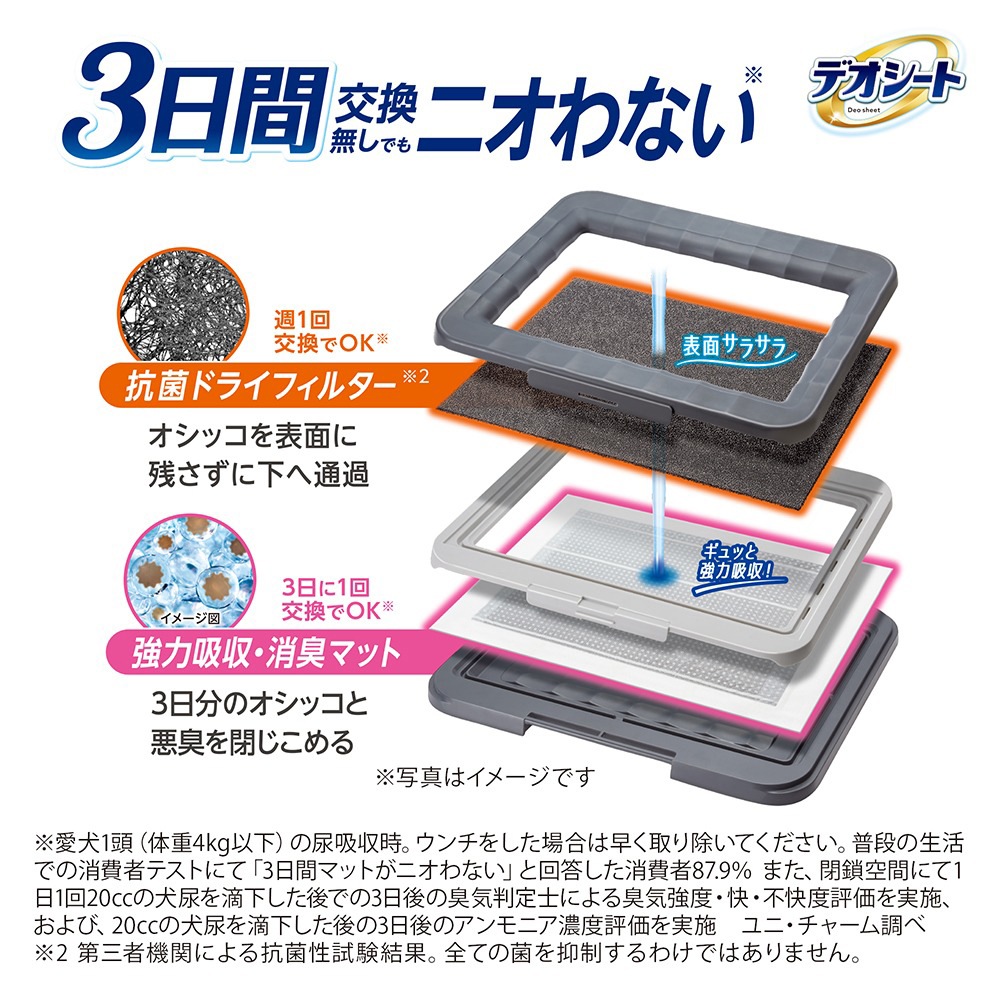 ��ˡ����㡼�� �ǥ������� �ý���� �ȥ��쥷���ƥ� ���Υ��å� �쥮��顼 (�����ɥå�)