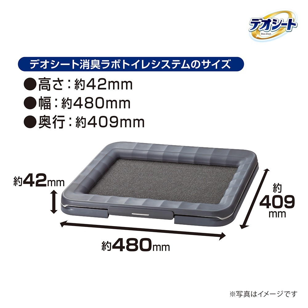 ��ˡ����㡼�� �ǥ������� �ý���� �ȥ��쥷���ƥ� ���Υ��å� �쥮��顼 (�����ɥå�)