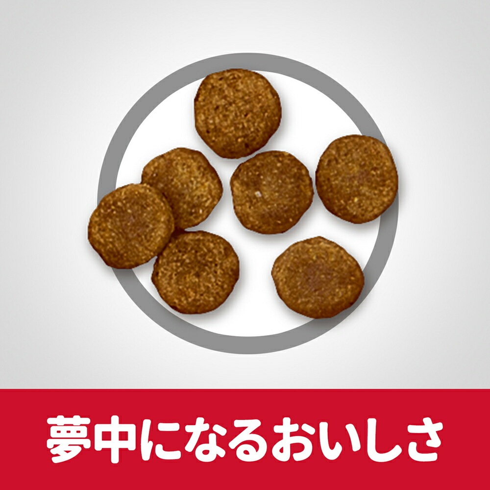 ��3kg��2�ޡۥҥ륺 �������󥹡��������å� �������� ���˥� 7�аʾ� ������ ������ �����Хå����ޤ��� (�����ɥå�)