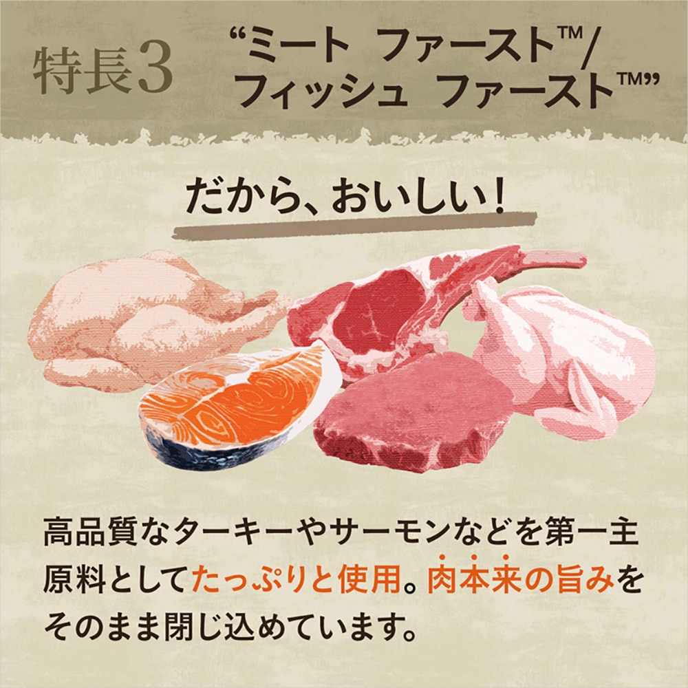 ��800g��10�ޡۥ˥塼�ȥ� �磻��ɥ쥷�� Ķ�������������� ������ ��������(�����ɥå�)[������]