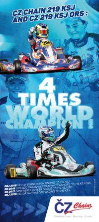 CZ KSJ 219チェーン　　　　　　　　　　　　　　　　　　　　　　　　　　　　　　　　　　　　　　　　　　　　　　　　　　　＜送料無料＞