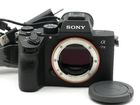 SONY ��7 III (2420������)