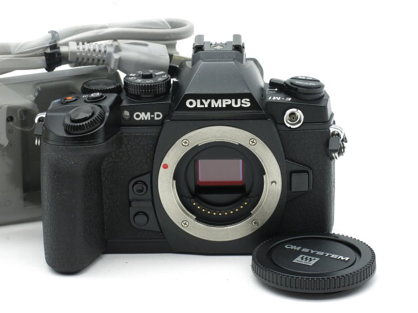�����ѥ� OM-D E-M1 (1628������)