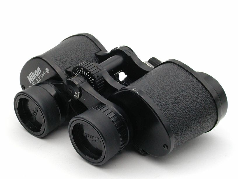 �˥��� �д�� 8x30 8.3�� WF C