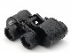 �˥��� �д�� 8x30 8.3�� WF C