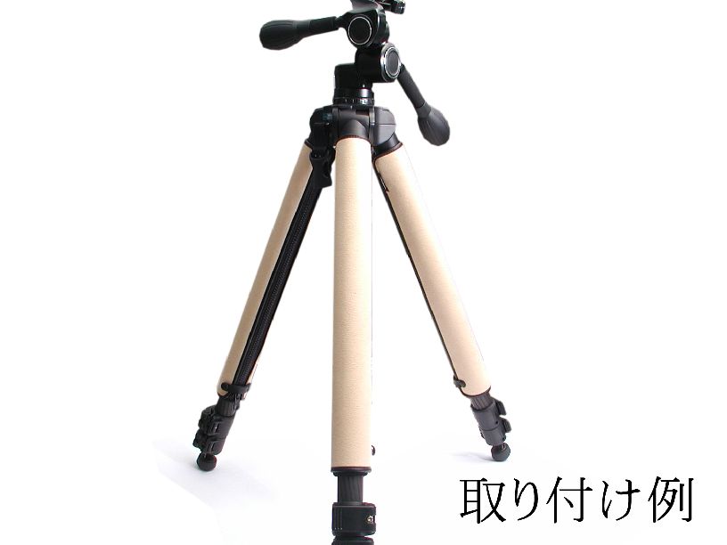 �٥�ܥ� ���ӥ��С� �١�����