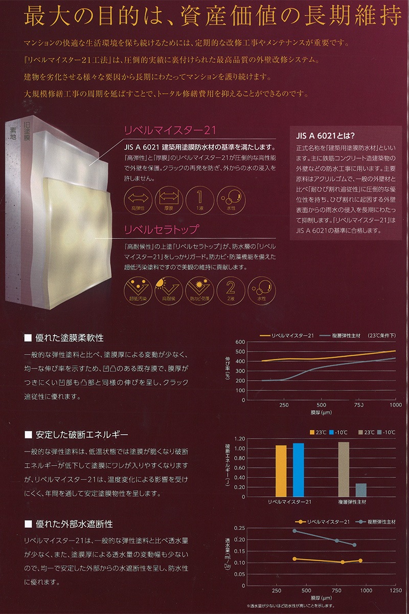 リベルマイスター21 3缶 1缶でもOK!!