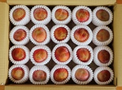 ̵���� ����� ��������(�ظ�����) �� 1.9kg