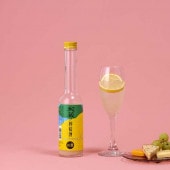 【和蔵酒造】和蔵ノ檸檬酒　250ml