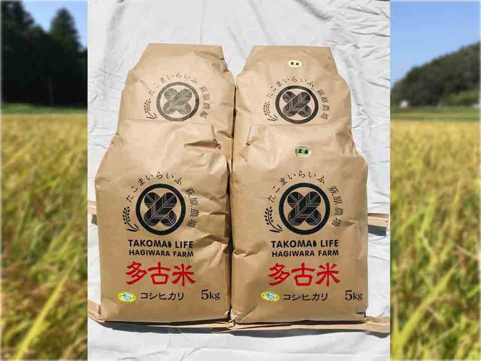 【たこまいらいふ萩原農場】【精米・玄米】各10kg 令和5年産 特別栽培米コシヒカリ多古米（精米・玄米）各5kg袋×2