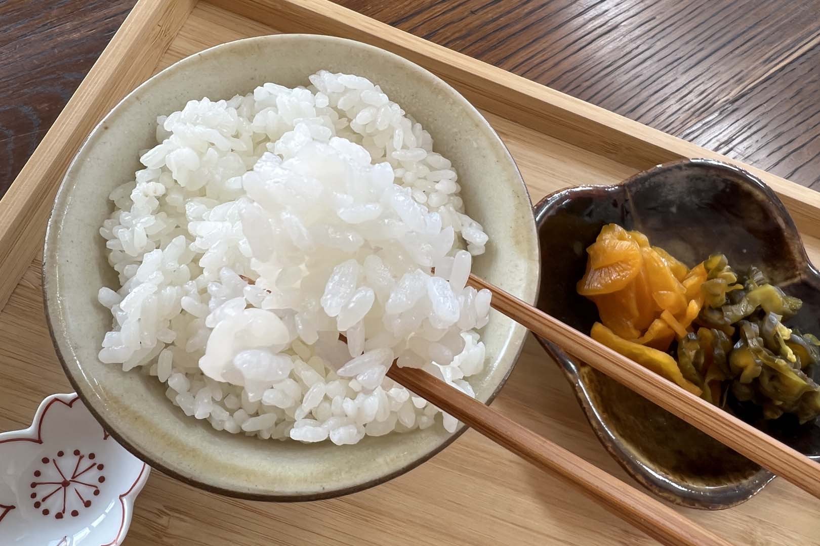 【たこまいらいふ萩原農場】【精米】10kg 令和5年産 特別栽培米コシヒカリ多古米（精米）5kg袋×2