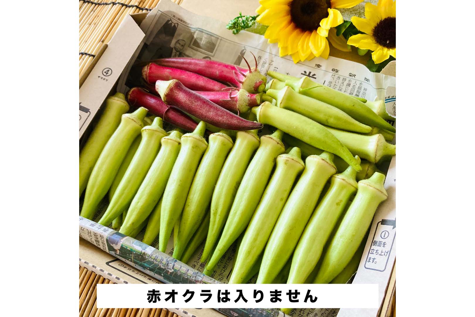 【ひまわりオーガニックファーム】夏季限定★【お得】ネバオクラ 大容量サイズ