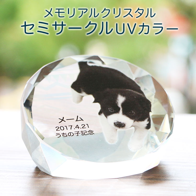 オーダー受付　わんこパネル　ご予約ページ　8/12 オーダー用パネル ①～⑥ ハートだわんこ