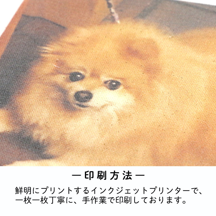 ڥåȡۼ̿ ץ å + ̿ץ ޥå