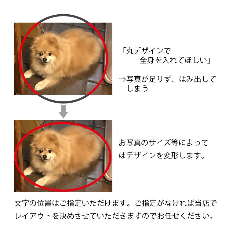 ڥåȡۼ̿ ץ å + ̿ץ ޥå