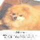 ڥåȡۼ̿ ץ å + ̿ץ ޥå