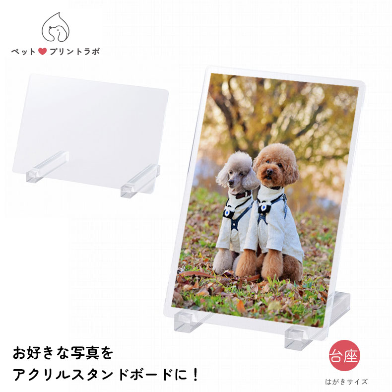 ピクチャーボード 写真立て 絵画 写真 アクリルスタンドボード はがきサイズ うちの子 うちのこ オリジナル オーダー オーダーメイド ペット 犬 猫 動物 子ども 赤ちゃん 家族 プレゼント