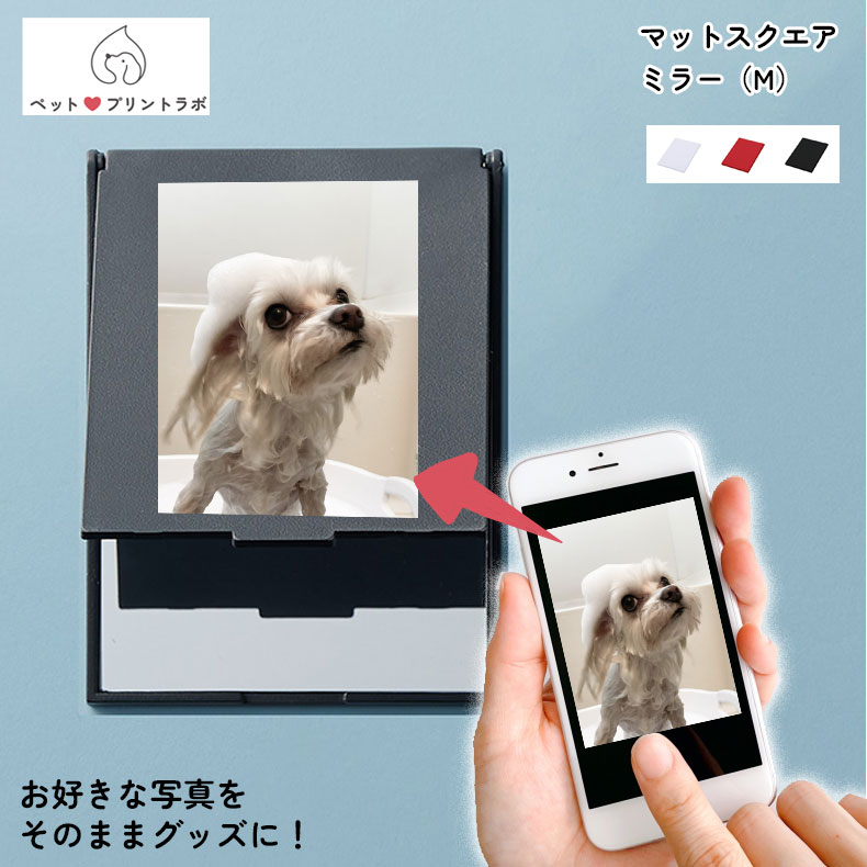 手鏡 コンパクト ミラー 鏡 マットスクエアミラー Mサイズ カラバリ うちの子 うちのこ オリジナル オーダー オーダーメイド ペット 犬 猫 動物 子ども 赤ちゃん 家族 プレゼント