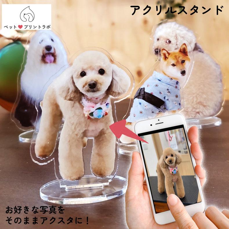 3個目無料 マイペット アクスタ 7cm オリジナル アクリルスタンド ペット 犬 猫 ネコ うさぎ ハムスター プレゼント フォトスタンド うちの子 うちのこ オリジナル オーダー オーダーメイド ペット 犬 猫 動物 子ども 赤ちゃん 家族 プレゼント
