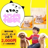 福袋 うちの子 うちのこ ペットプリントラボ オーダーメイド バッグ ポーチ お散歩 犬 猫 ペット 推し活 キャンバス お買い物バッグ プレゼント