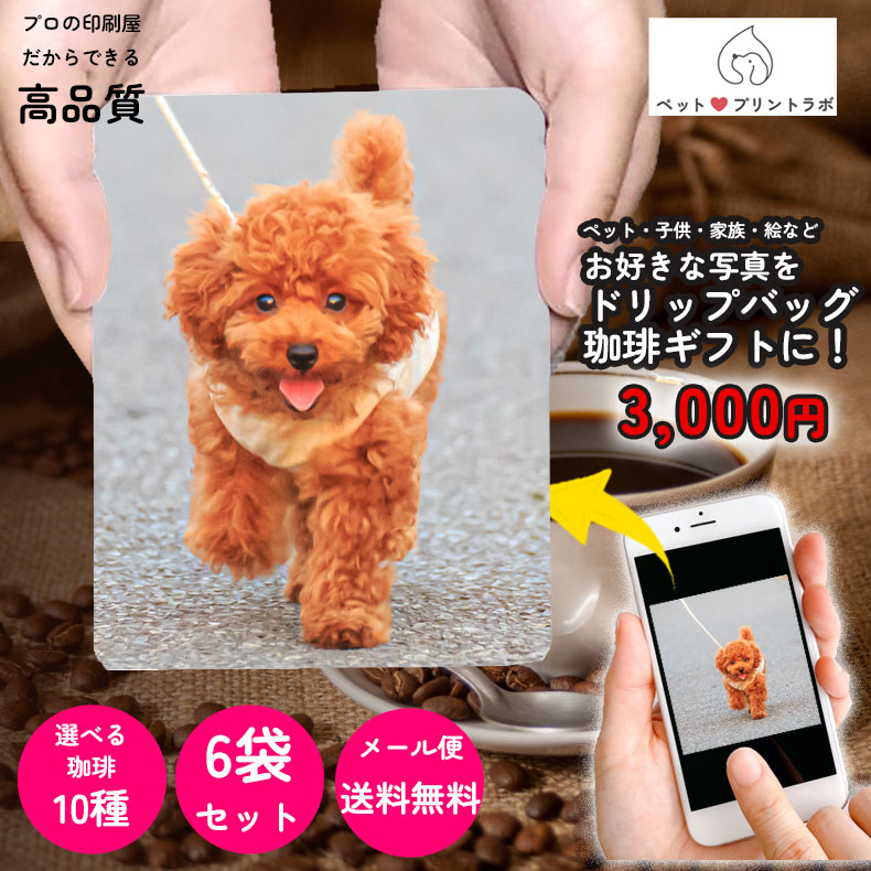 オリジナル 選べるコーヒードリップコーヒー 6包 コーヒーギフト 写真 おしゃれ ギフト 誕生日 コーヒー ギフト 珈琲 父の日 母の日 記念品 プレゼント 赤ちゃん 敬老の日 プチギフト