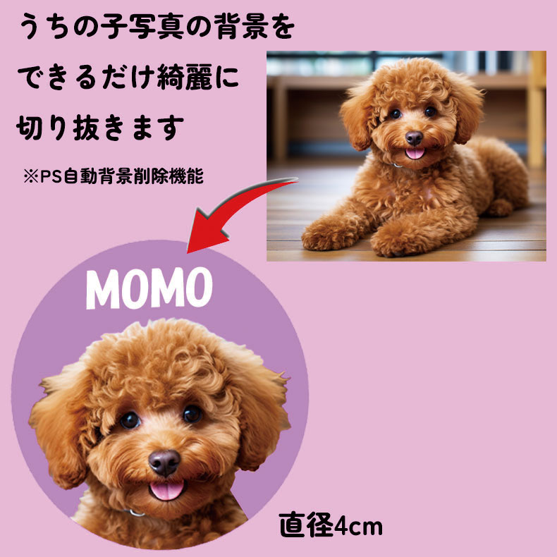 120枚 名入れ うちの子 名刺 シール ステッカー アイコン オリジナル 写真 オーダーメイド 直径4cm ペット 犬 猫 子ども 子供 赤ちゃん