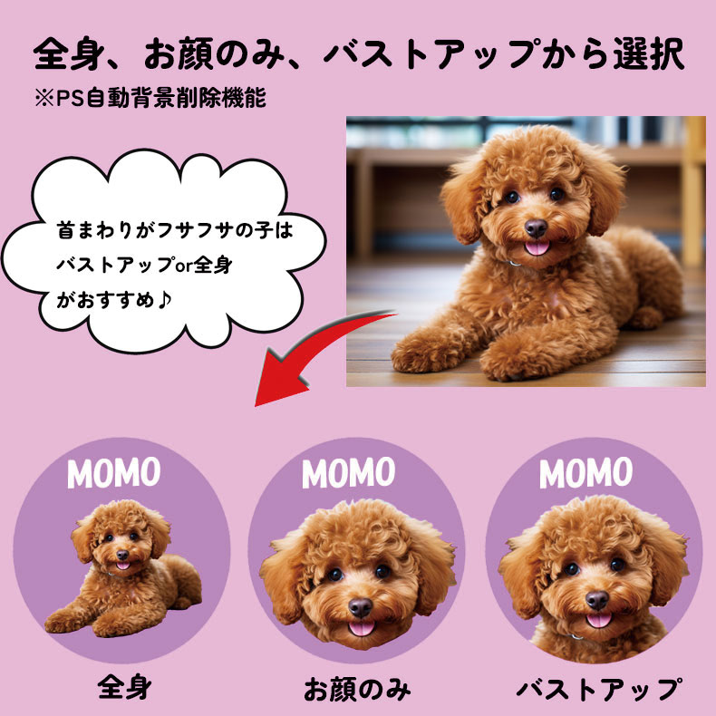 120枚 名入れ うちの子 名刺 シール ステッカー アイコン オリジナル 写真 オーダーメイド 直径4cm ペット 犬 猫 子ども 子供 赤ちゃん