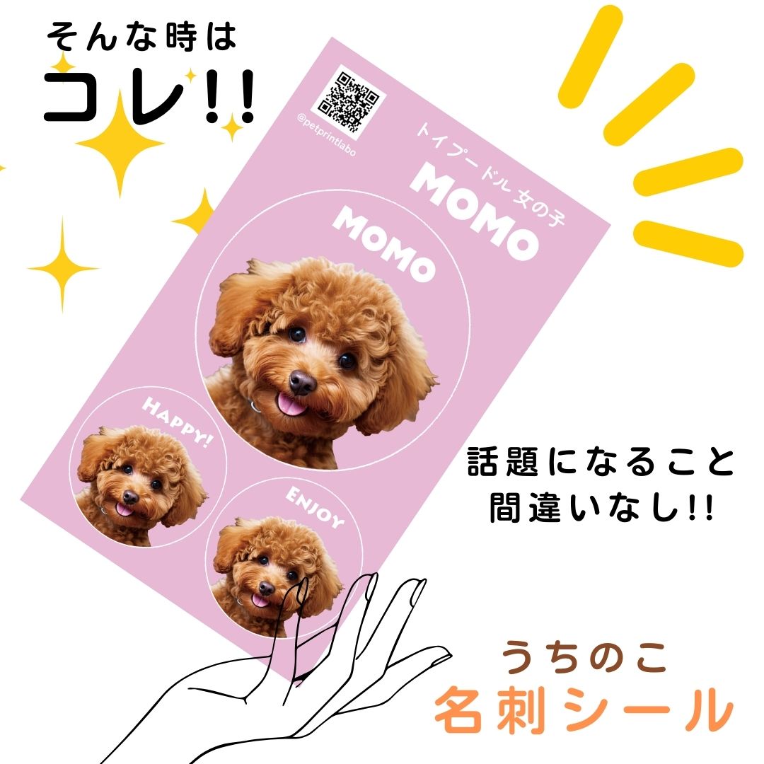 20枚 名入れ うちの子 名刺 シール ステッカー 写真付き名刺 かわいい アイコン オリジナル 写真 オーダーメイド 直径4cm 2cm ペット 犬 猫 子ども 赤ちゃん オフ会 イベント