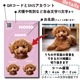 20枚 名入れ うちの子 名刺 シール ステッカー 写真付き名刺 かわいい アイコン オリジナル 写真 オーダーメイド 直径4cm 2cm ペット 犬 猫 子ども 赤ちゃん オフ会 イベント