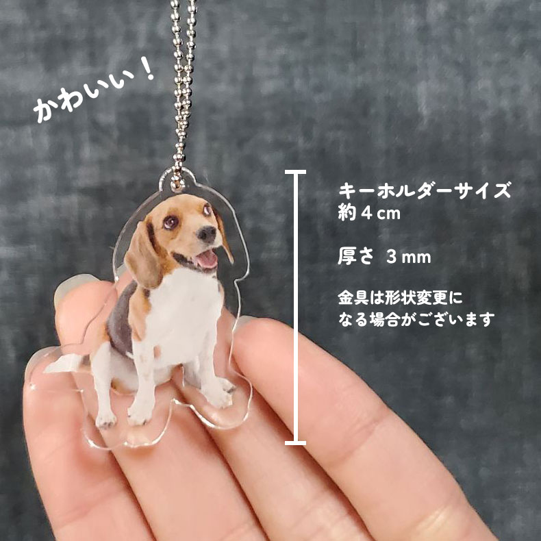 アクリルキーホルダー 4cm アクキー [3個目無料/送料無料] うちの子 うちのこ オリジナル オーダー オーダーメイド ペット 犬 猫 動物 子ども 赤ちゃん 家族 プレゼント