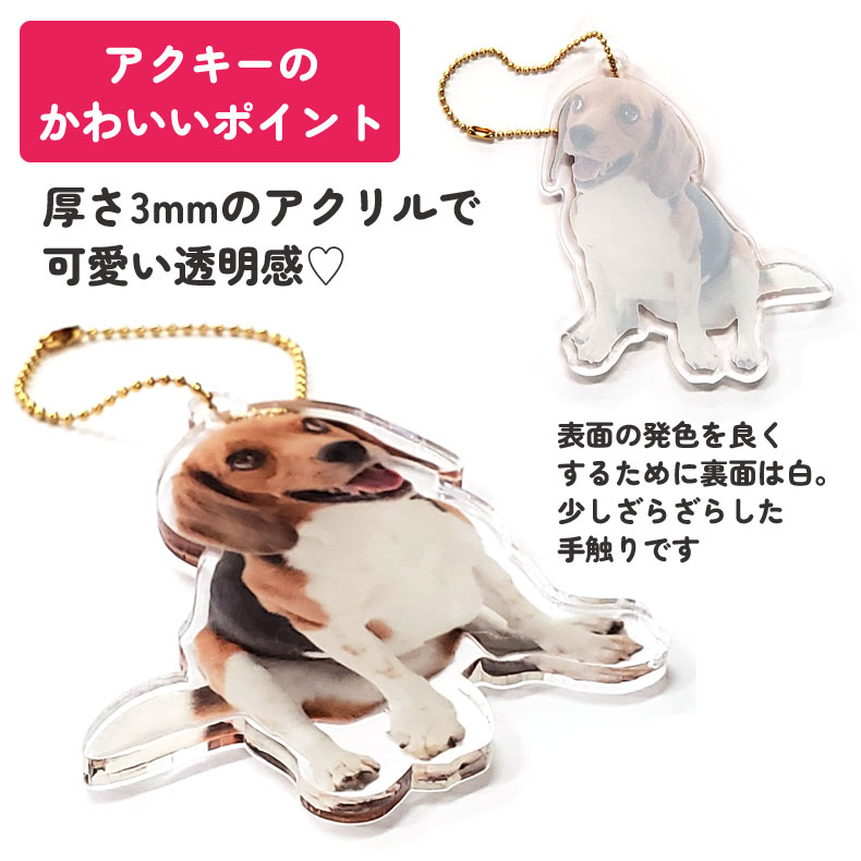 アクリルキーホルダー 4cm アクキー [3個目無料/送料無料] うちの子 うちのこ オリジナル オーダー オーダーメイド ペット 犬 猫 動物 子ども 赤ちゃん 家族 プレゼント